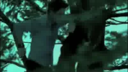 Edward and Bella - - - - Down 