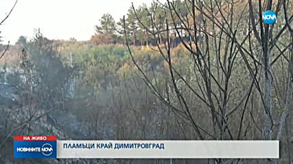 Пожар край Димитровград