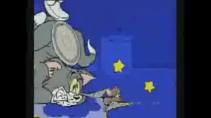 Cartoon Network - Tom Amp