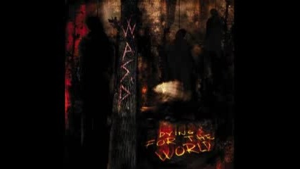 W.a.s.p. - Stone Cold Killers 