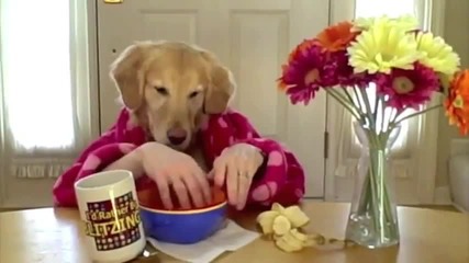 Време за закуска