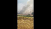 Голям пожар бушува в Хасковско между Динево и Корен, огънят застрашава гора