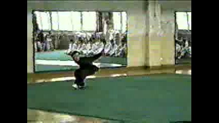 Wushu - Kung Fu - Eagle Claw