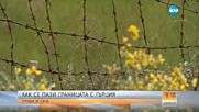 Може ли през гората да влезем в Гърция без проблем?