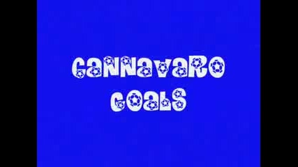 Fabio Cannavaro - Compilation