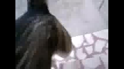 Рексссииииииии