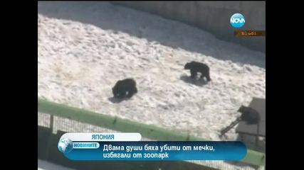 Двама души убити от мечки, избягали от зоопарк