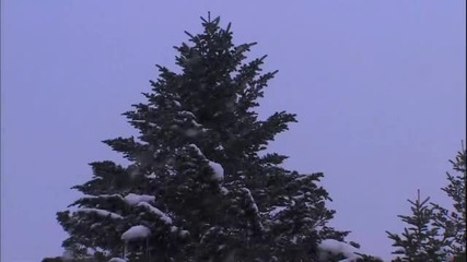 Украинският Bell Каръл - Коледа Специални [hd]