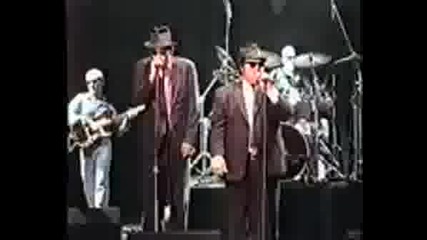 Blues Brothers Live Again