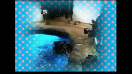 H2o Just Add Water - Season 3 Pictures