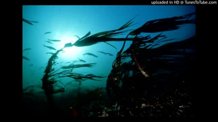 Lm1 & Glen E.ston - Undercurrent
