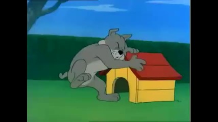 Tom and Jerry 