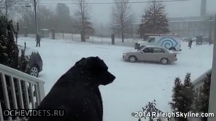 Зимни неволи в Северна Каролина