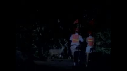 Заслепиха Ме Тези Фарове - Смях
