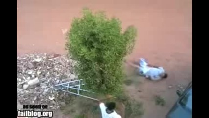 Голямо Падане