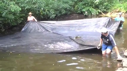 Вижте как се лови риба с найлон! (видео)