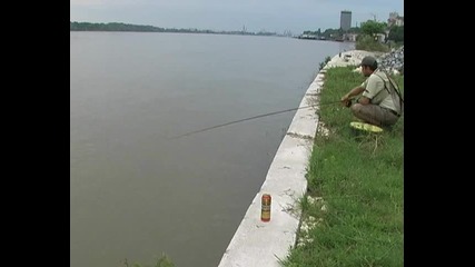 Danube streamer