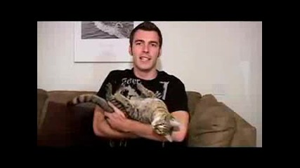 Mean Kitty - Update On Sparta