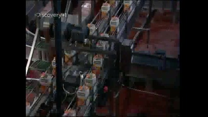 How Orange Juice Is Made