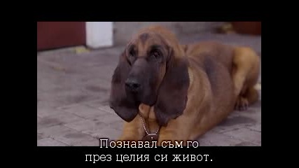 Приятелите На Дядо Коледа + Бг Суб |част 2|