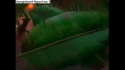 Madagascar sexy chick party _і