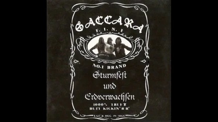 Saccara - Bagaluten Band 