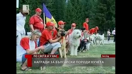 Българското Овчарско Куче и Лудогорското Гонче със Сертификат 