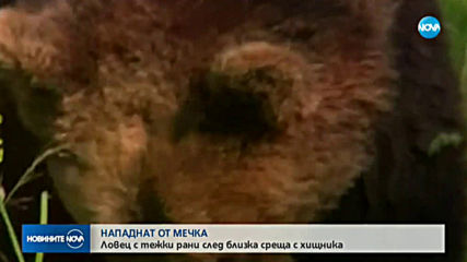 Мечка нахапа ловец в Стара планина