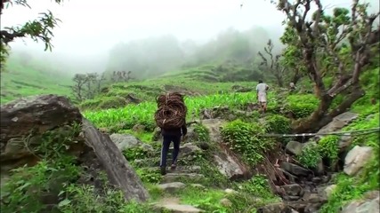 Гурунгите: Изкусните ловци на див мед - Eдно забележително и рядко видео за племето от Непал
