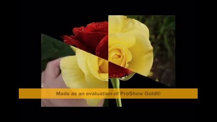 Кървавите рози глава 1 част 2 