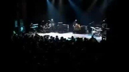 Pj Harvey - A Perfect Day Elise (live)