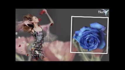 Frank Duval - Love 