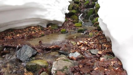 Зимен поток - резерват Джинджирица