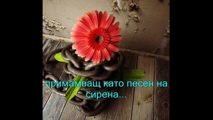 кафе за сбогом