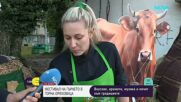 Вкусове, аромати и почит към традициите: Горна Оряховица празнува фестивала на гърнето