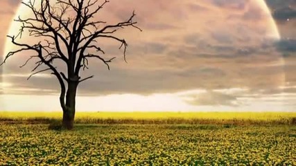 ¦ ¦ Eva Cassidy _field of Gold ¦ ¦
