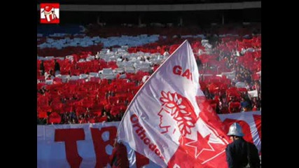 Red Star Belgrade (crazy Fans)