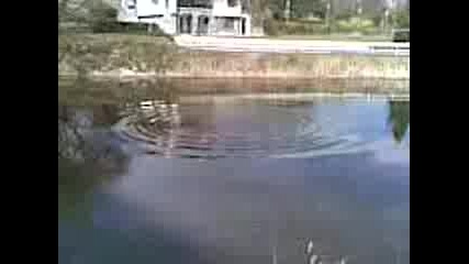Езерце В Бързия