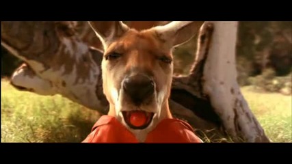 Кенгуруто Джак - Бг Аудио / Kangaroo Jack ( Високо Качество ) Част 3 (2003)