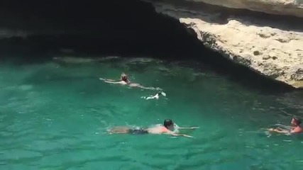 Куче се хвърля от ръба на скала във водата