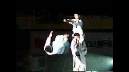 taekwondo - korean tigers