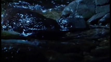 Гигантски Саламандър 