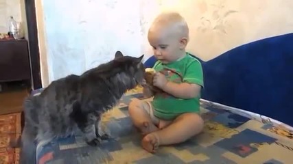 Коте и дете си поделят кифла