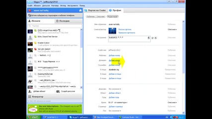 kak se raboti s skype