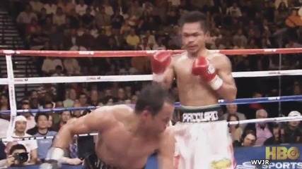 Manny Pacquiao Boxing Knockouts Highlights 