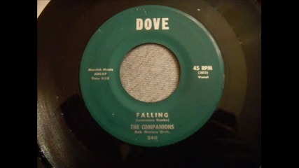 Companions - Falling - Rare Nj Doo Wop Ballad 