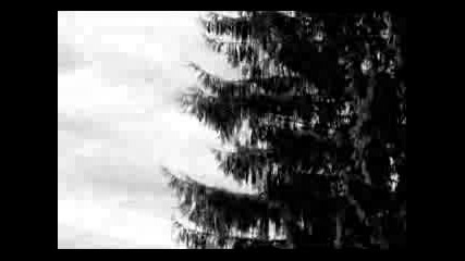Winter Cry - One With The Fog
