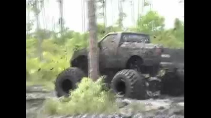 Florida Muddin 