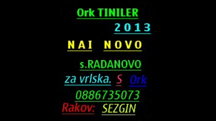 ork Tiniler 2013