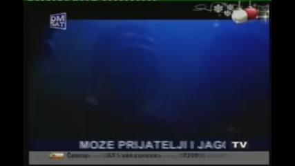 Maya - dzin i limunada
